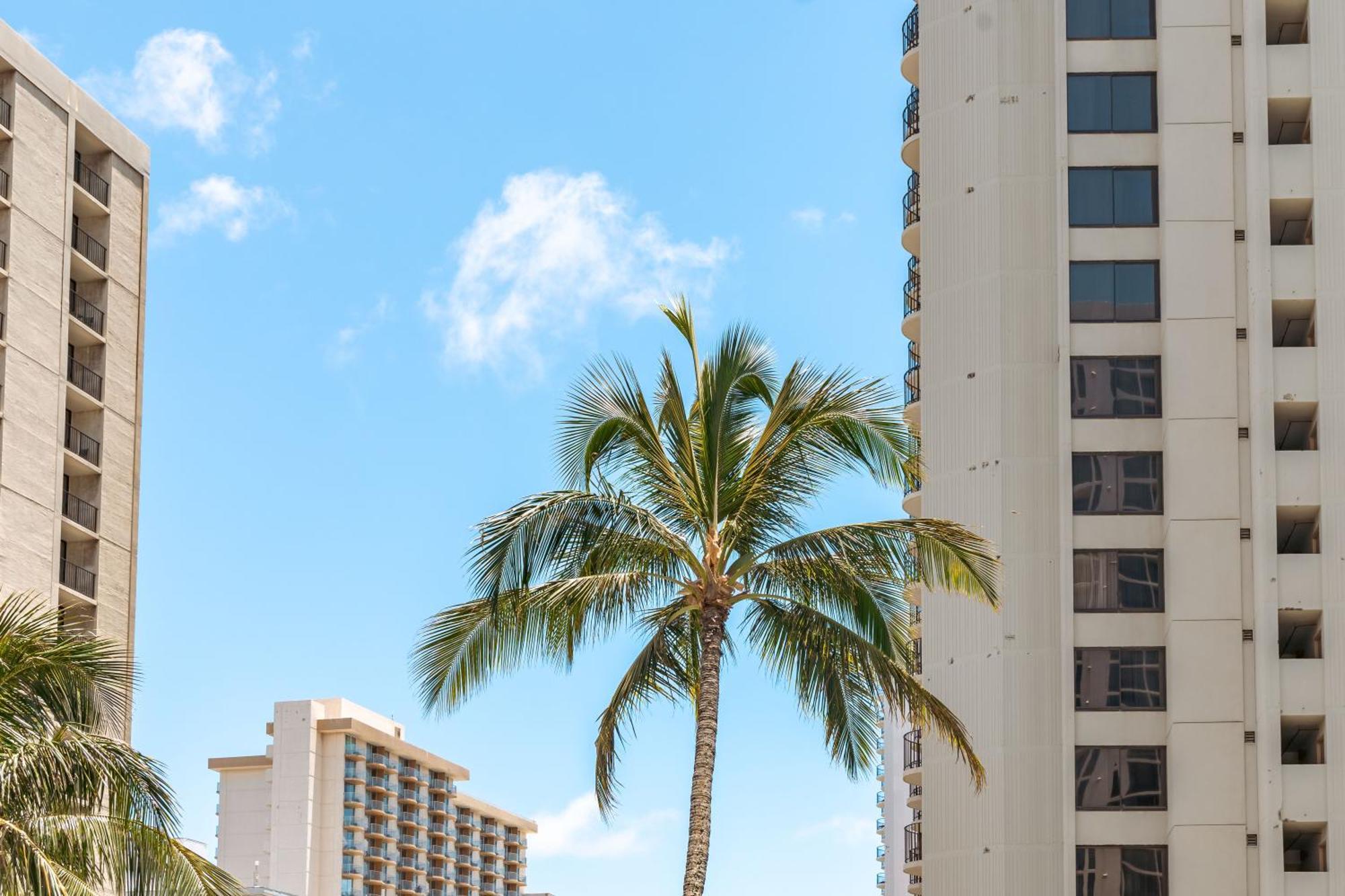 Beautiful Ocean And Diamond Head Views With Parking Apartment Honolulu Bagian luar foto